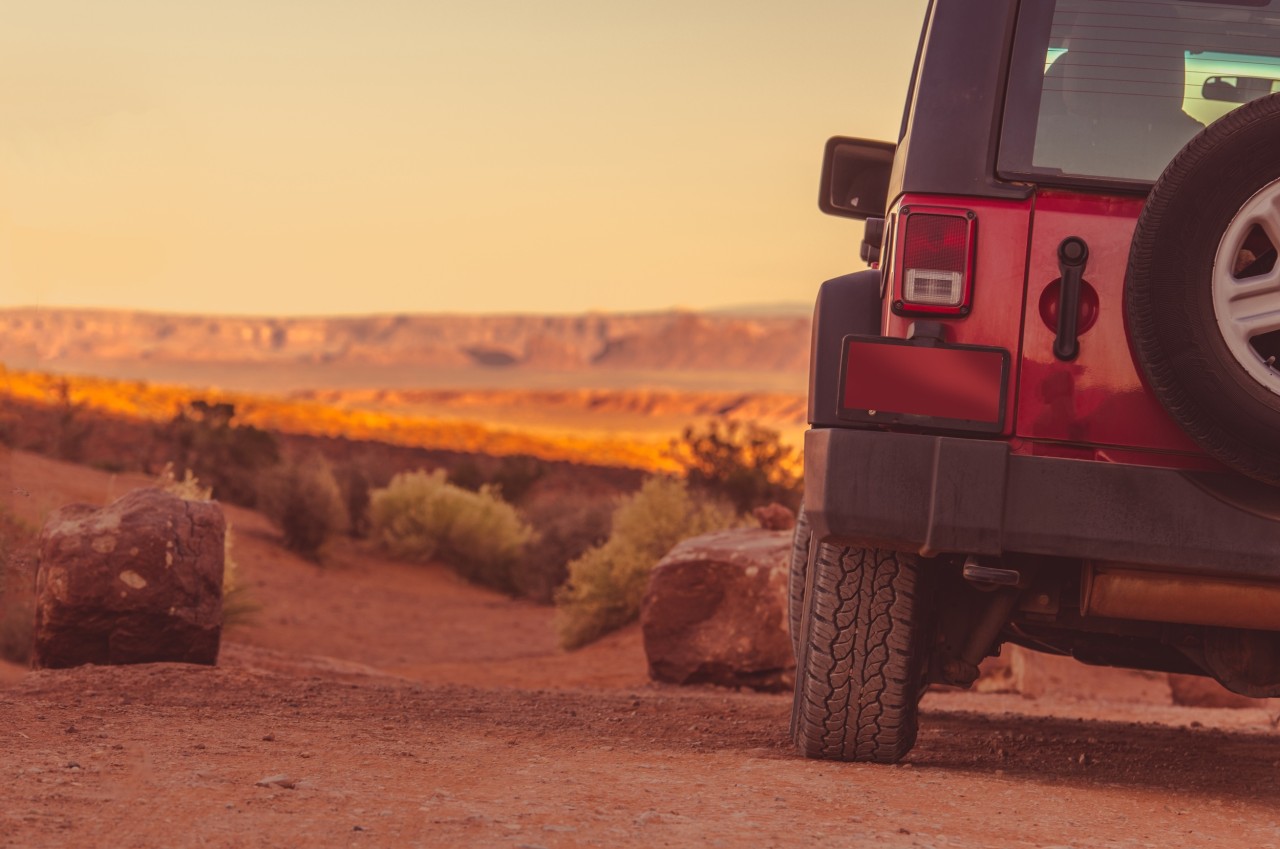 driving-off-road-concept-2025-03-15-02-51-12-utc