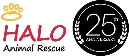 HALO 25th Logo